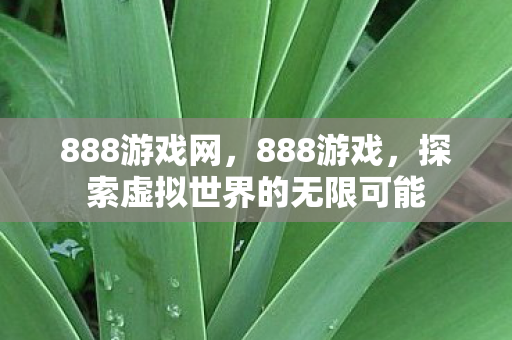 888游戏网，888游戏，探索虚拟世界的无限可能