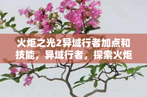 火炬之光2异域行者加点和技能，异域行者，探索火炬之光2的未知领域