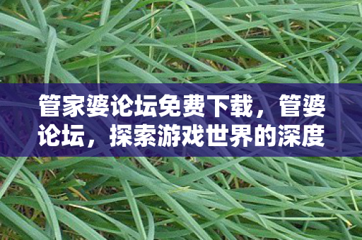 管家婆论坛免费下载，管婆论坛，探索游戏世界的深度交流