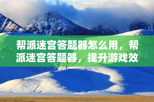 帮派迷宫答题器怎么用，帮派迷宫答题器，提升游戏效率的利器