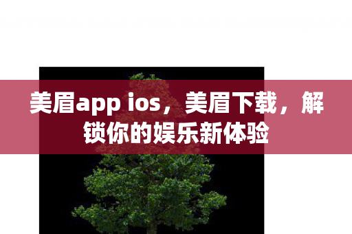 美眉app ios，美眉下载，解锁你的娱乐新体验