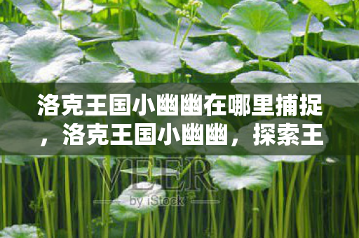 洛克王国小幽幽在哪里捕捉，洛克王国小幽幽，探索王国中的神秘存在