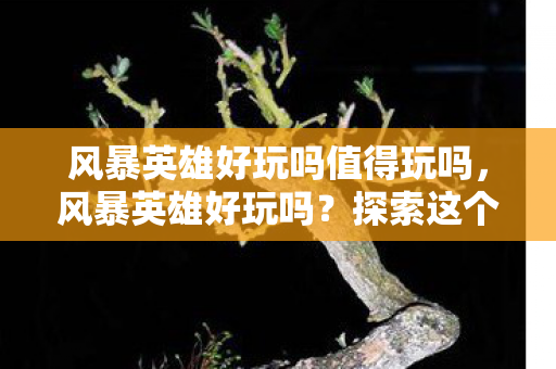 风暴英雄好玩吗值得玩吗，风暴英雄好玩吗？探索这个游戏的独特魅力