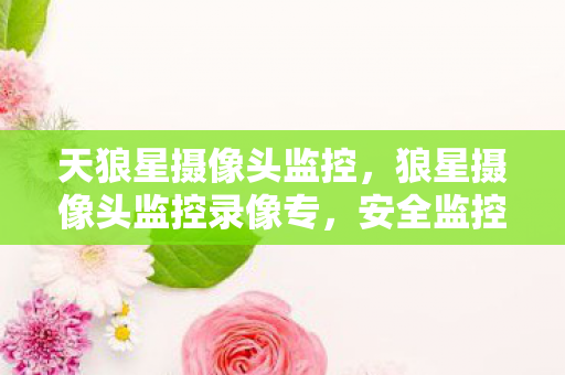 天狼星摄像头监控，狼星摄像头监控录像专，安全监控的新选择