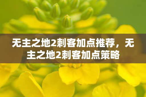 无主之地2刺客加点推荐，无主之地2刺客加点策略