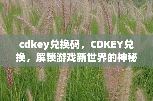 cdkey兑换码，CDKEY兑换，解锁游戏新世界的神秘钥匙