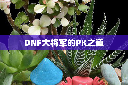 DNF大将军的PK之道