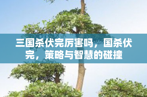 三国杀伏完厉害吗，国杀伏完，策略与智慧的碰撞