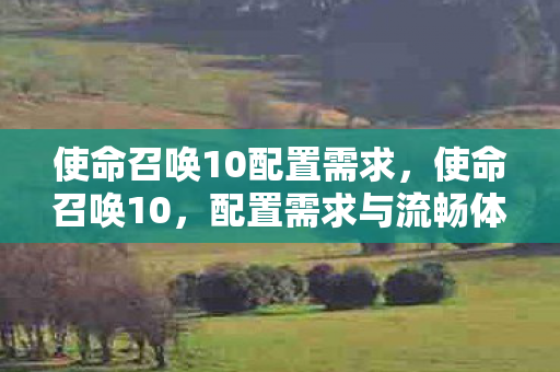 使命召唤10配置需求，使命召唤10，配置需求与流畅体验