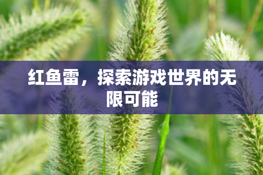 红鱼雷，探索游戏世界的无限可能