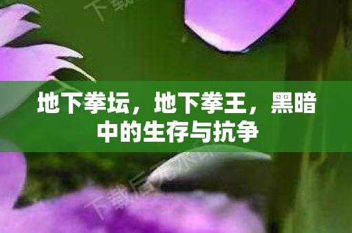 地下拳坛，地下拳王，黑暗中的生存与抗争