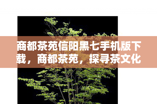 商都茶苑信阳黑七手机版下载，商都茶苑，探寻茶文化的深度与广度