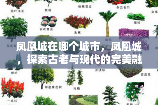 凤凰城在哪个城市，凤凰城，探索古老与现代的完美融合