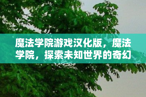 魔法学院游戏汉化版，魔法学院，探索未知世界的奇幻之旅