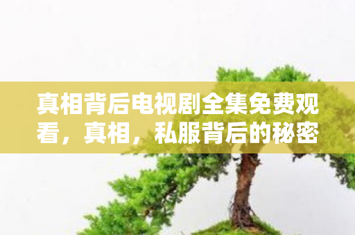 真相背后电视剧全集免费观看，真相，私服背后的秘密与灰色产业链