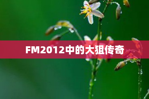 FM2012中的大狙传奇