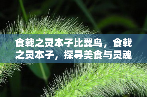 食戟之灵本子比翼鸟，食戟之灵本子，探寻美食与灵魂的碰撞