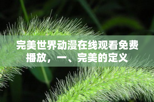 完美世界动漫在线观看免费播放，一、完美的定义