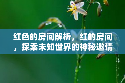 红色的房间解析，红的房间，探索未知世界的神秘邀请