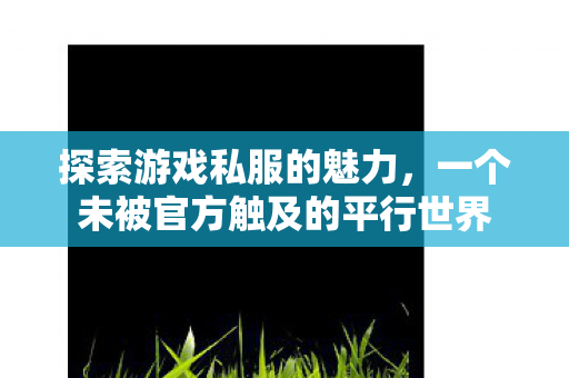 探索游戏私服的魅力，一个未被官方触及的平行世界