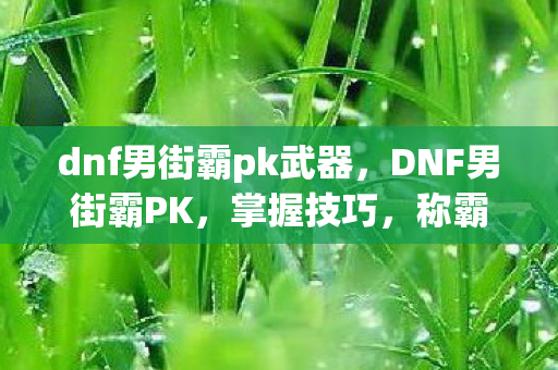 dnf男街霸pk武器，DNF男街霸PK，掌握技巧，称霸决斗场
