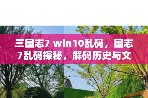 三国志7 win10乱码，国志7乱码探秘，解码历史与文化的数字迷思
