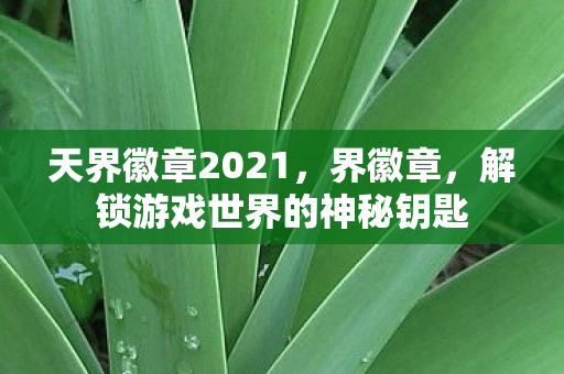 天界徽章2021，界徽章，解锁游戏世界的神秘钥匙