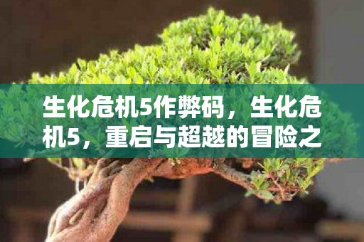 生化危机5作弊码，生化危机5，重启与超越的冒险之旅