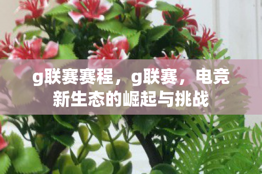 g联赛赛程，g联赛，电竞新生态的崛起与挑战