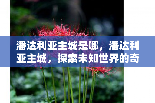 潘达利亚主城是哪，潘达利亚主城，探索未知世界的奇幻之旅