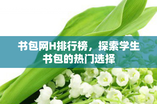 书包网H排行榜，探索学生书包的热门选择
