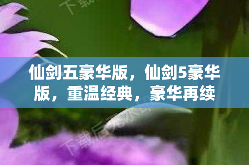 仙剑五豪华版，仙剑5豪华版，重温经典，豪华再续