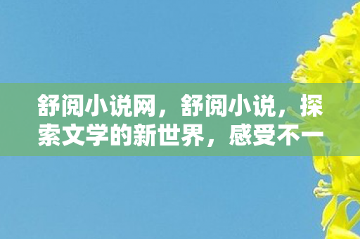 舒阅小说网，舒阅小说，探索文学的新世界，感受不一样的阅读体验