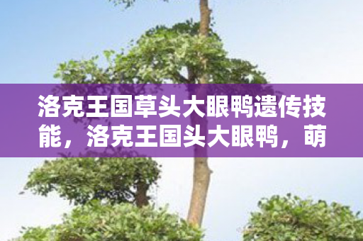洛克王国草头大眼鸭遗传技能，洛克王国头大眼鸭，萌宠养成新体验