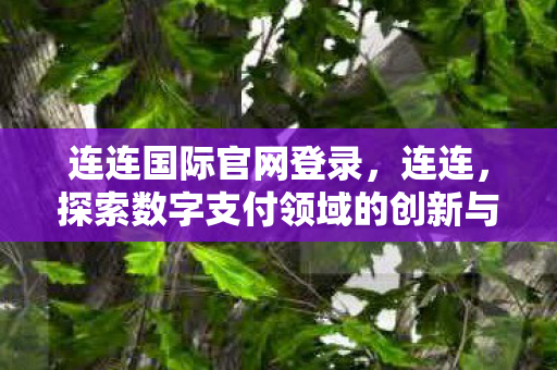 连连国际官网登录，连连，探索数字支付领域的创新与发展