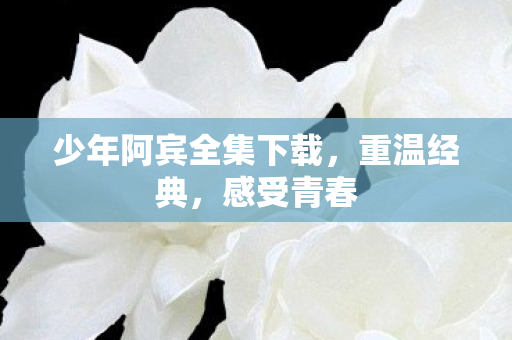 少年阿宾全集下载，重温经典，感受青春