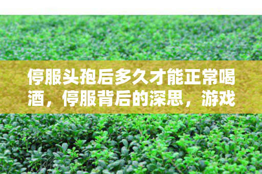 停服头孢后多久才能正常喝酒，停服背后的深思，游戏运营与玩家情感的平衡