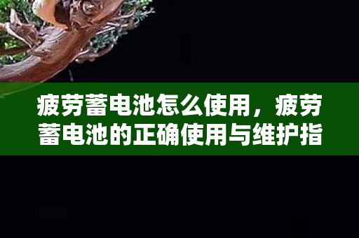 疲劳蓄电池怎么使用，疲劳蓄电池的正确使用与维护指南