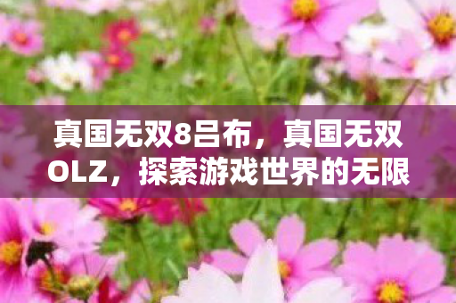 真国无双8吕布，真国无双OLZ，探索游戏世界的无限可能
