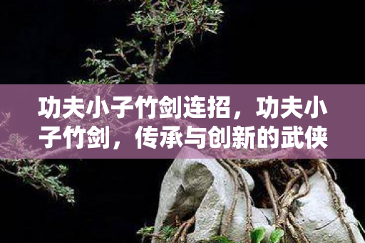 功夫小子竹剑连招，功夫小子竹剑，传承与创新的武侠之魂