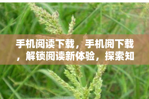 手机阅读下载，手机阅下载，解锁阅读新体验，探索知识无界限