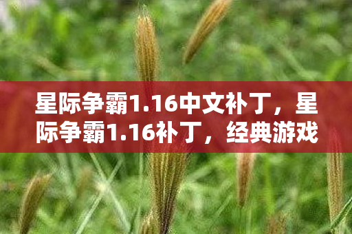 星际争霸1.16中文补丁，星际争霸1.16补丁，经典游戏的重生与革新