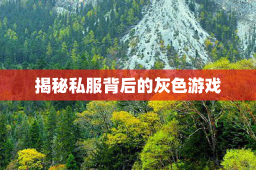 揭秘私服背后的灰色游戏