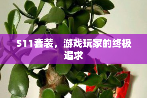 S11套装，游戏玩家的终极追求