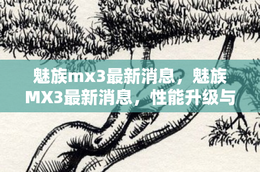 魅族mx3最新消息，魅族MX3最新消息，性能升级与用户体验优化
