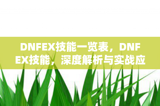 DNFEX技能一览表，DNFEX技能，深度解析与实战应用