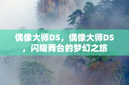 偶像大师DS，偶像大师DS，闪耀舞台的梦幻之旅