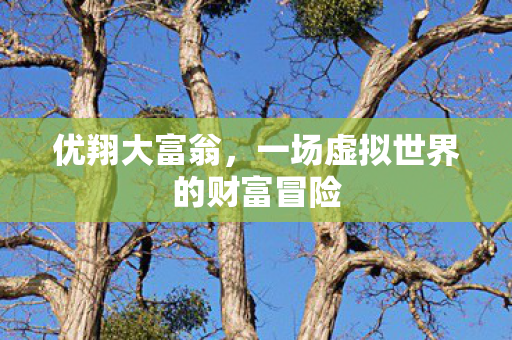 优翔大富翁，一场虚拟世界的财富冒险