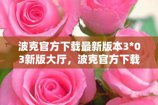 波克官方下载最新版本3*03新版大厅，波克官方下载，安全、便捷的游戏体验