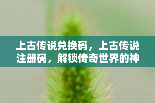 上古传说兑换码，上古传说注册码，解锁传奇世界的神秘钥匙